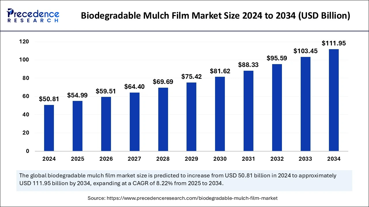 Biodegradable Mulch Film Market Size 2025 to 2034 