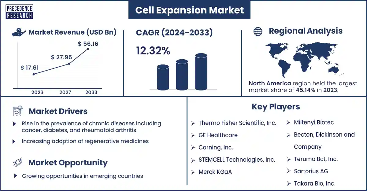 Cell Expansion Market Revenue and Growth Rate From 2024 to 2033