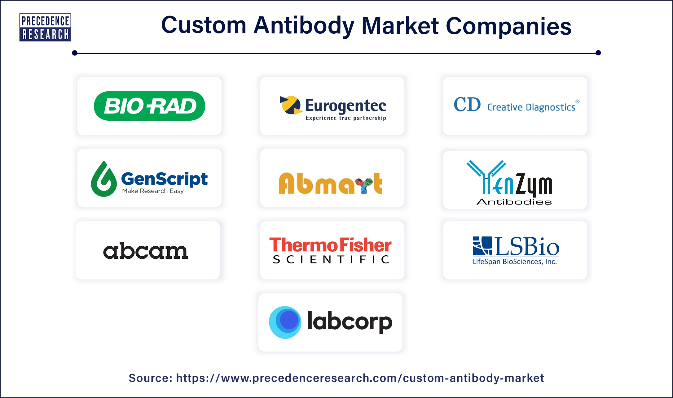 Custom Antibody Companies
