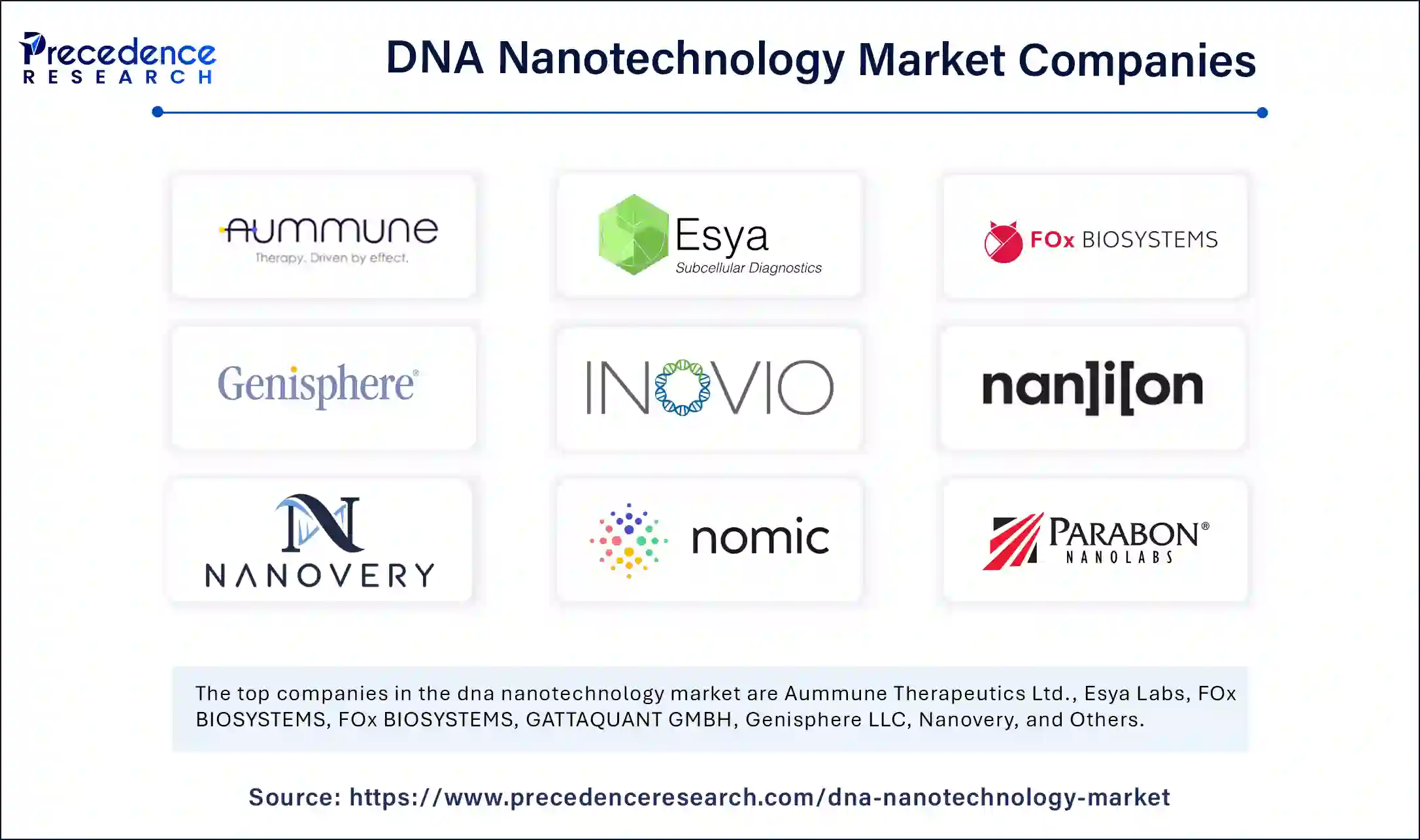 DNA Nanotechnology Market Companies