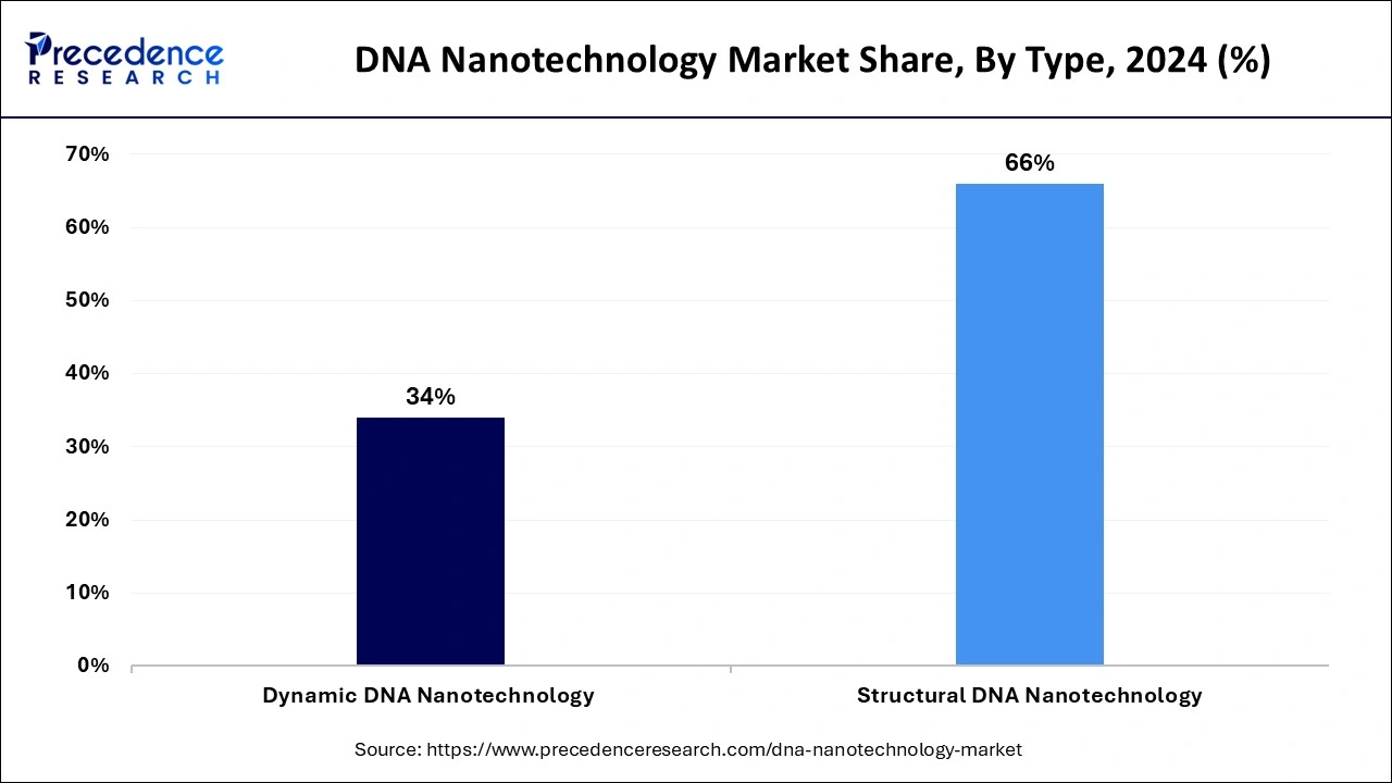 DNA Nanotechnology Market Share, By Type, 2024 (%)