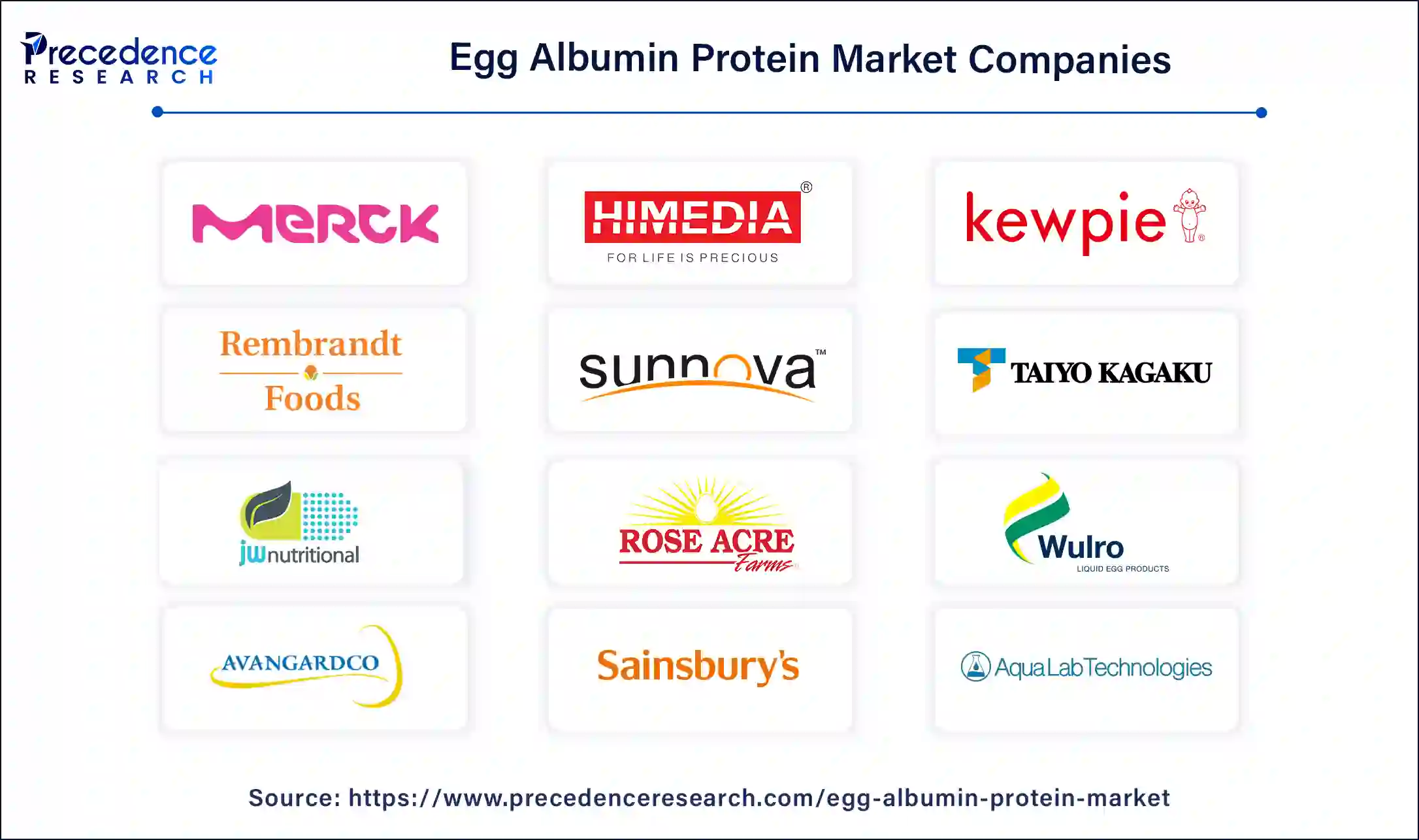 Egg Albumin Protein Companies