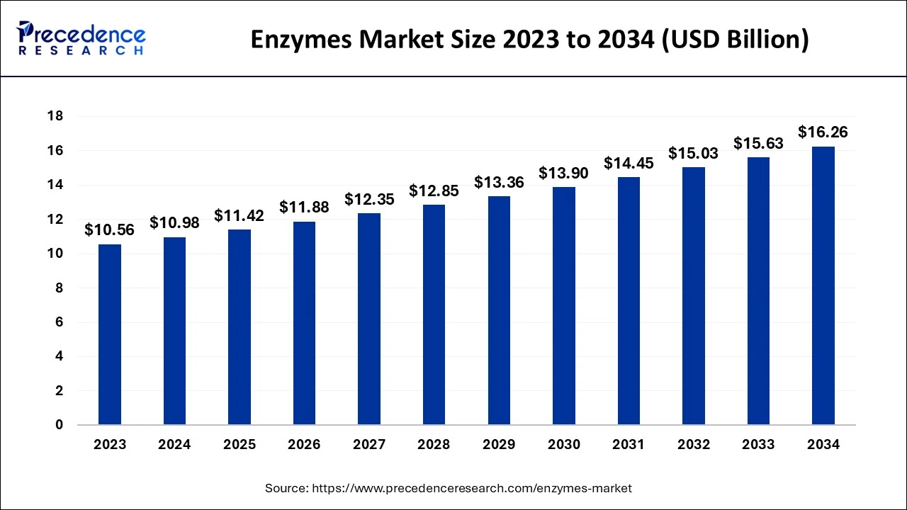 Enzymes Market Size 2024 to 2034