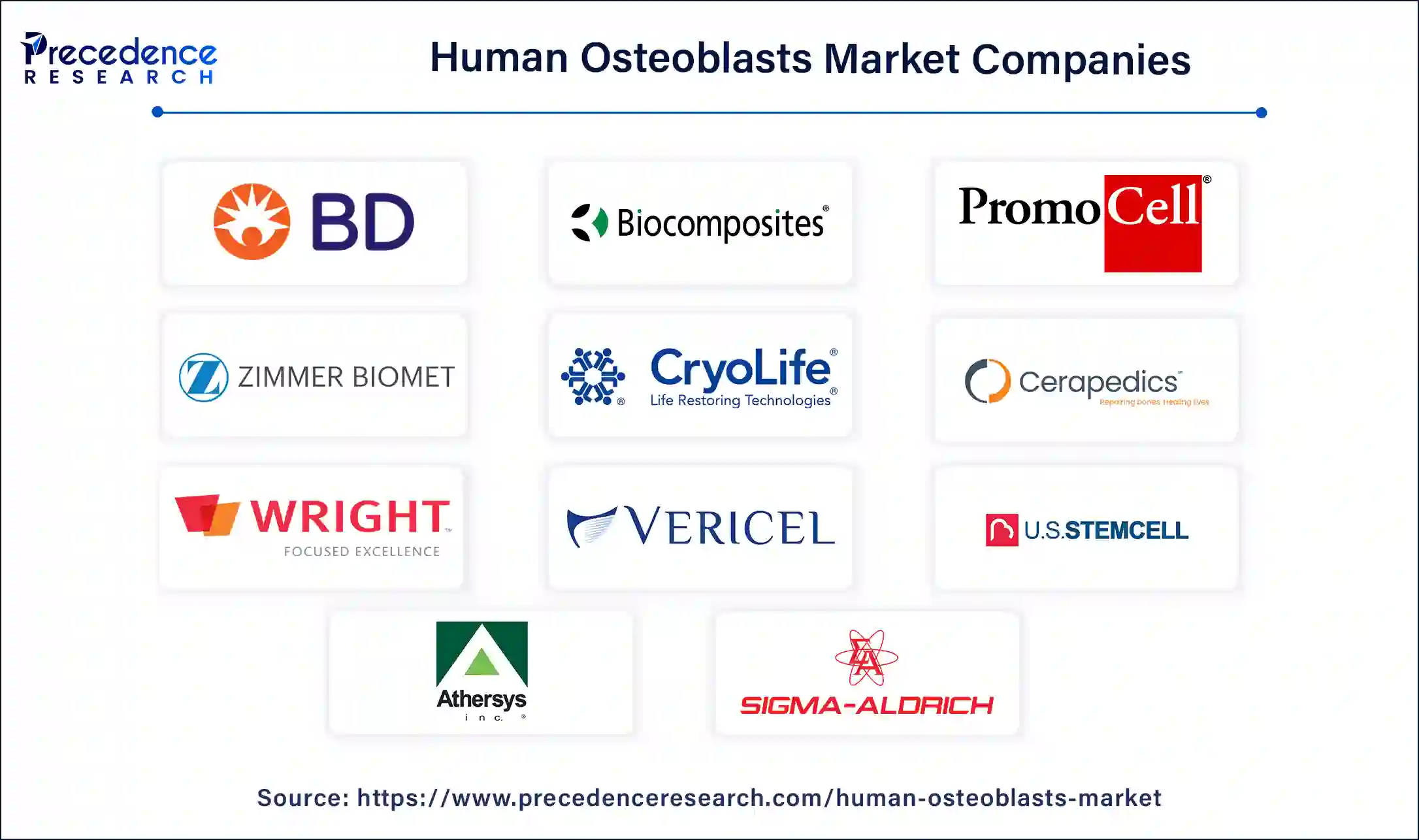 Human Osteoblast Companies