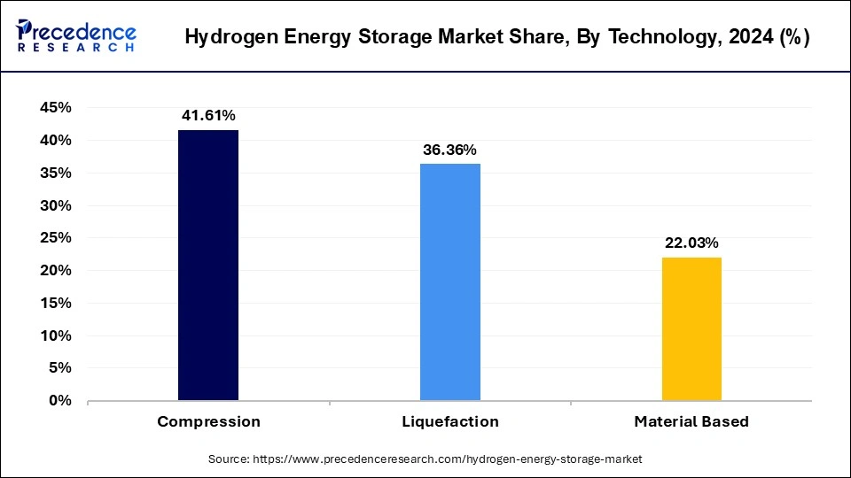 Hydrogen Energy Storage Market Share, By Technology, 2024 (%)