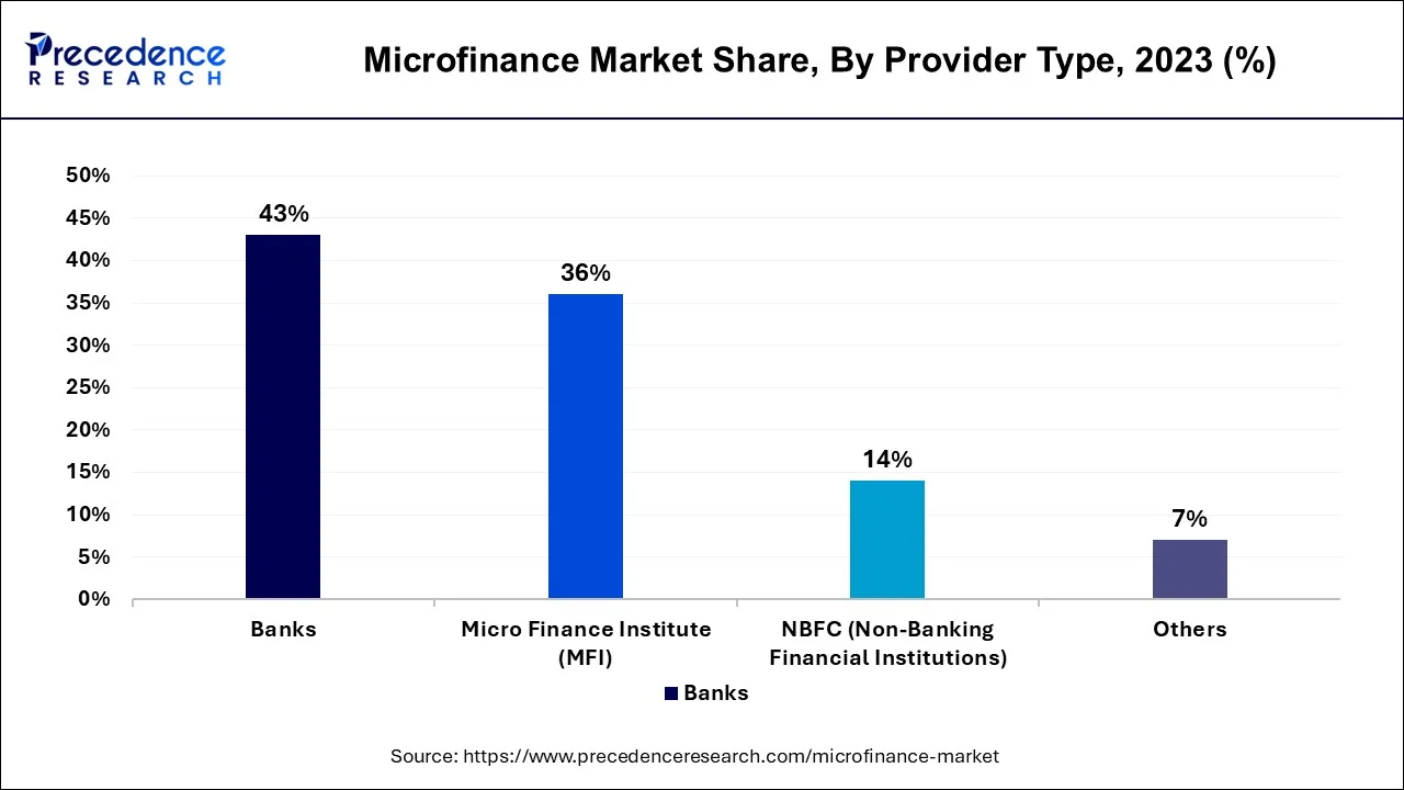 Microfinance Market Share, By Provider Type, 2023 (%)