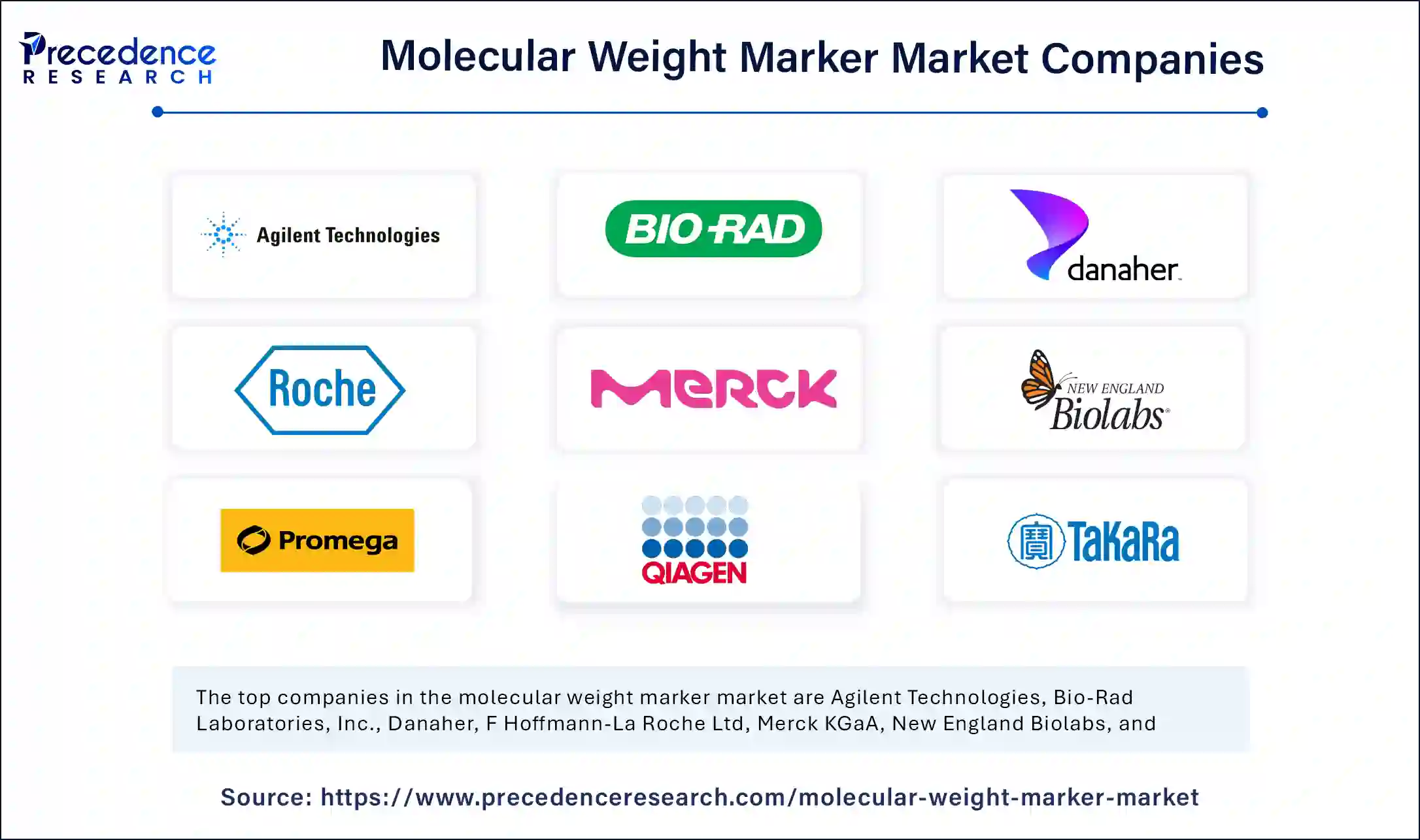 Molecular Weight Marker Market Companies