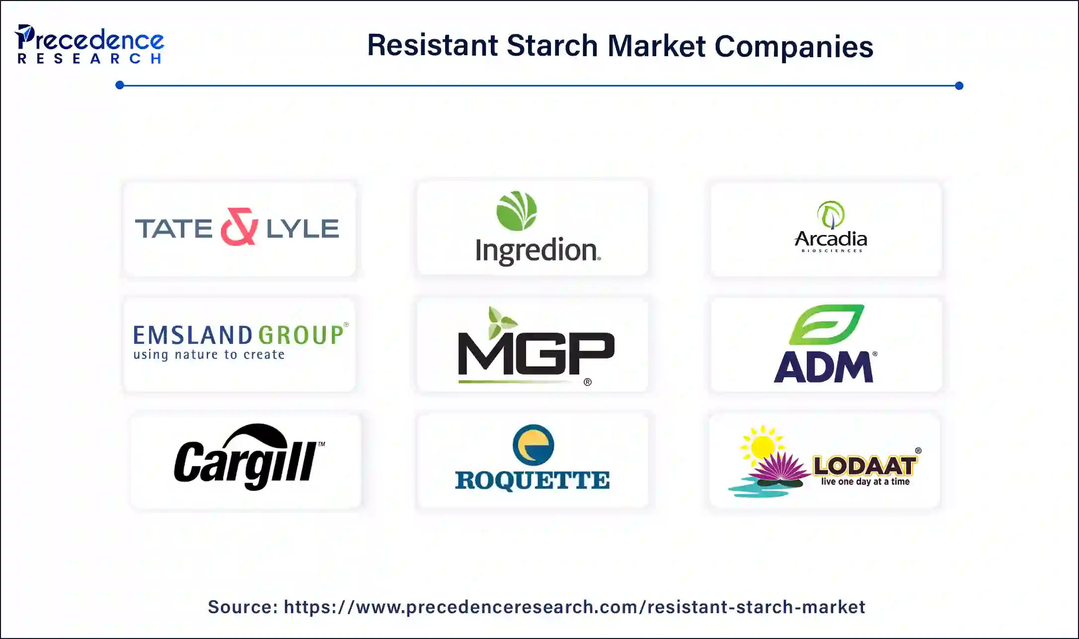 Resistant Starch Companies