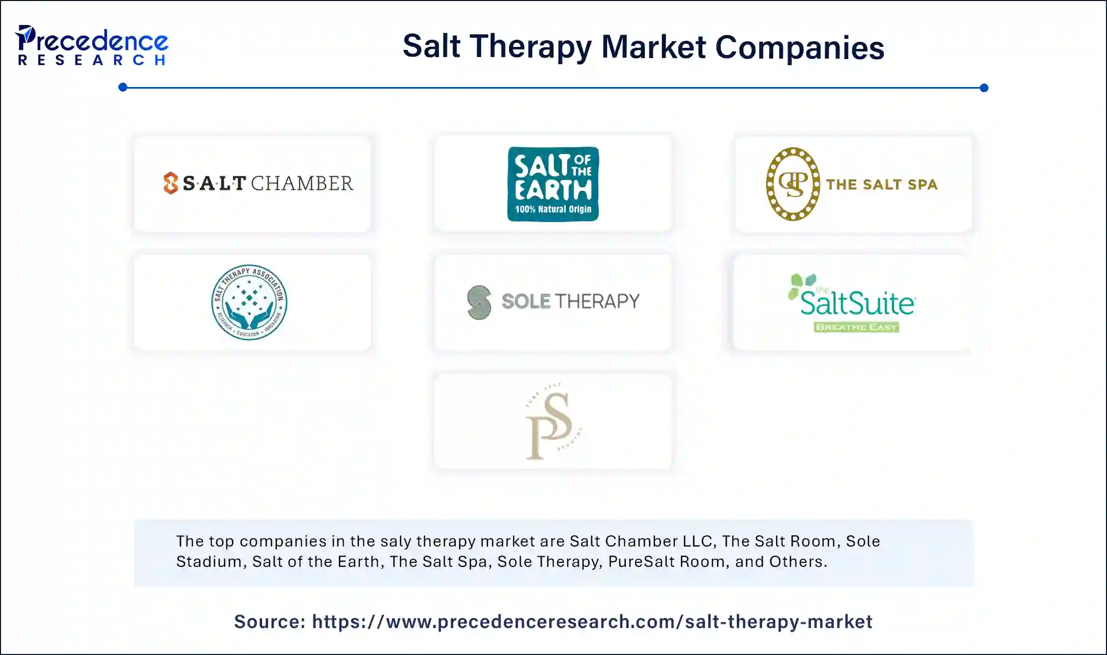 Salt Therapy Market Companies