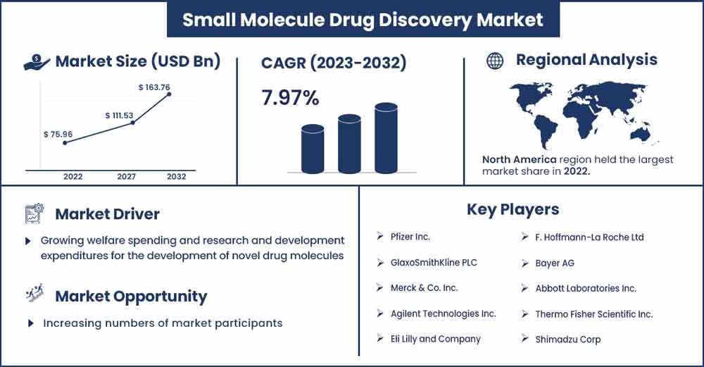 Small Molecule Drug Discovery Market Size and Growth Rate 2023 To 2032