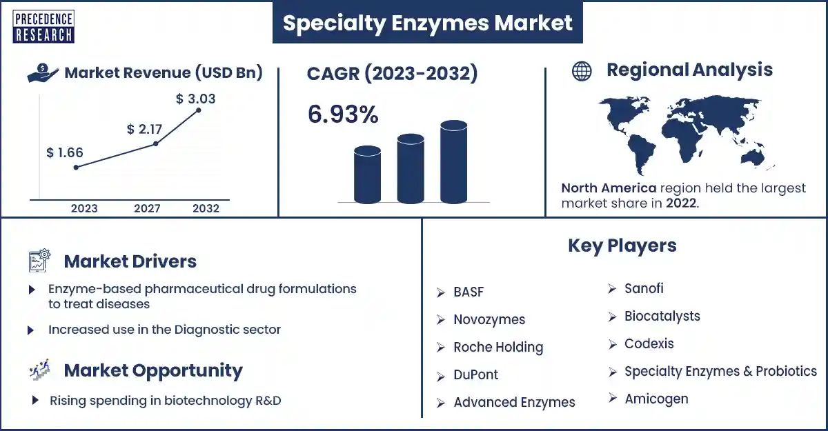 Specialty Enzymes Market Revenue and Growth Rate from 2023 to 2032