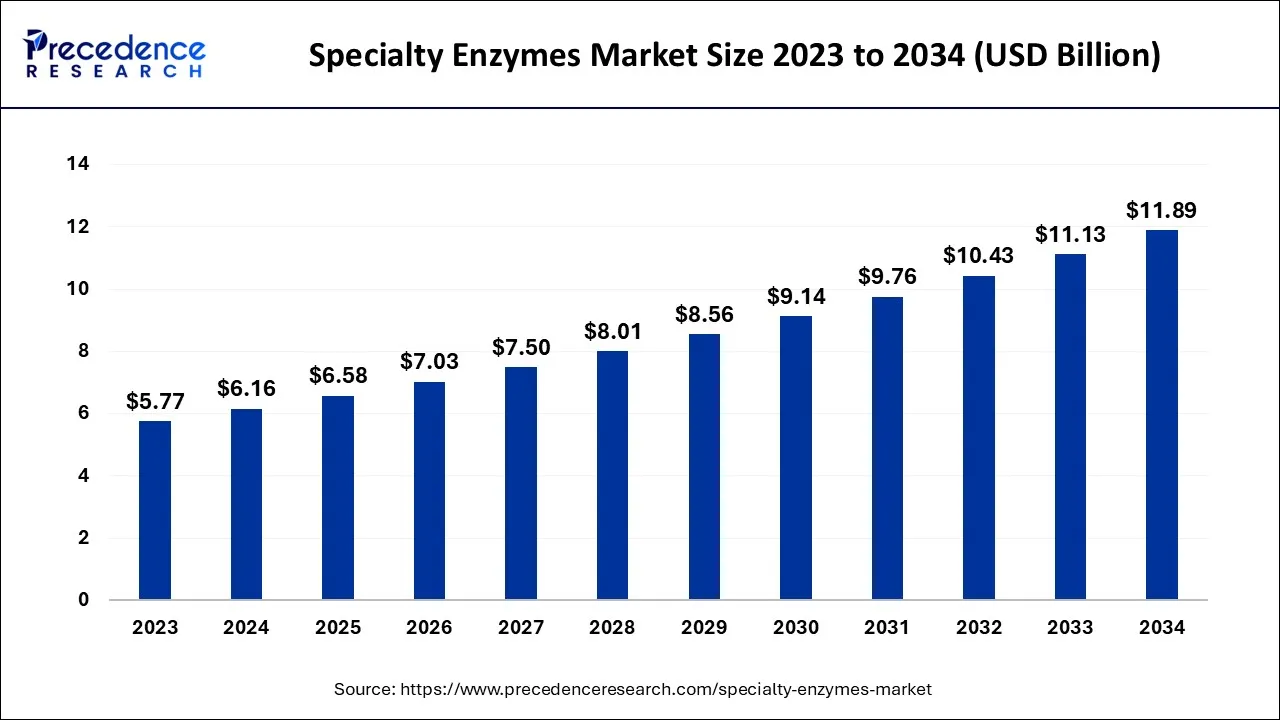 Specialty Enzymes Market Size 2024 to 2034 