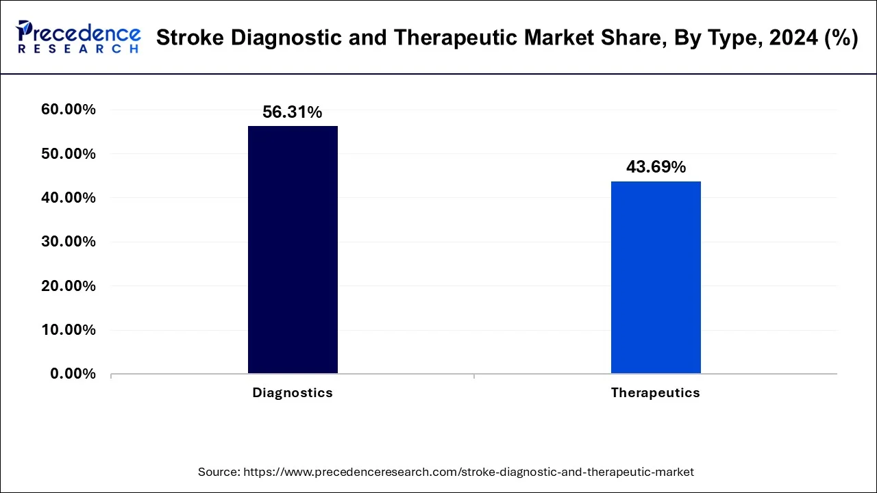 Stroke Diagnostic and Therapeutic Market Share, By Type, 2024 (%)