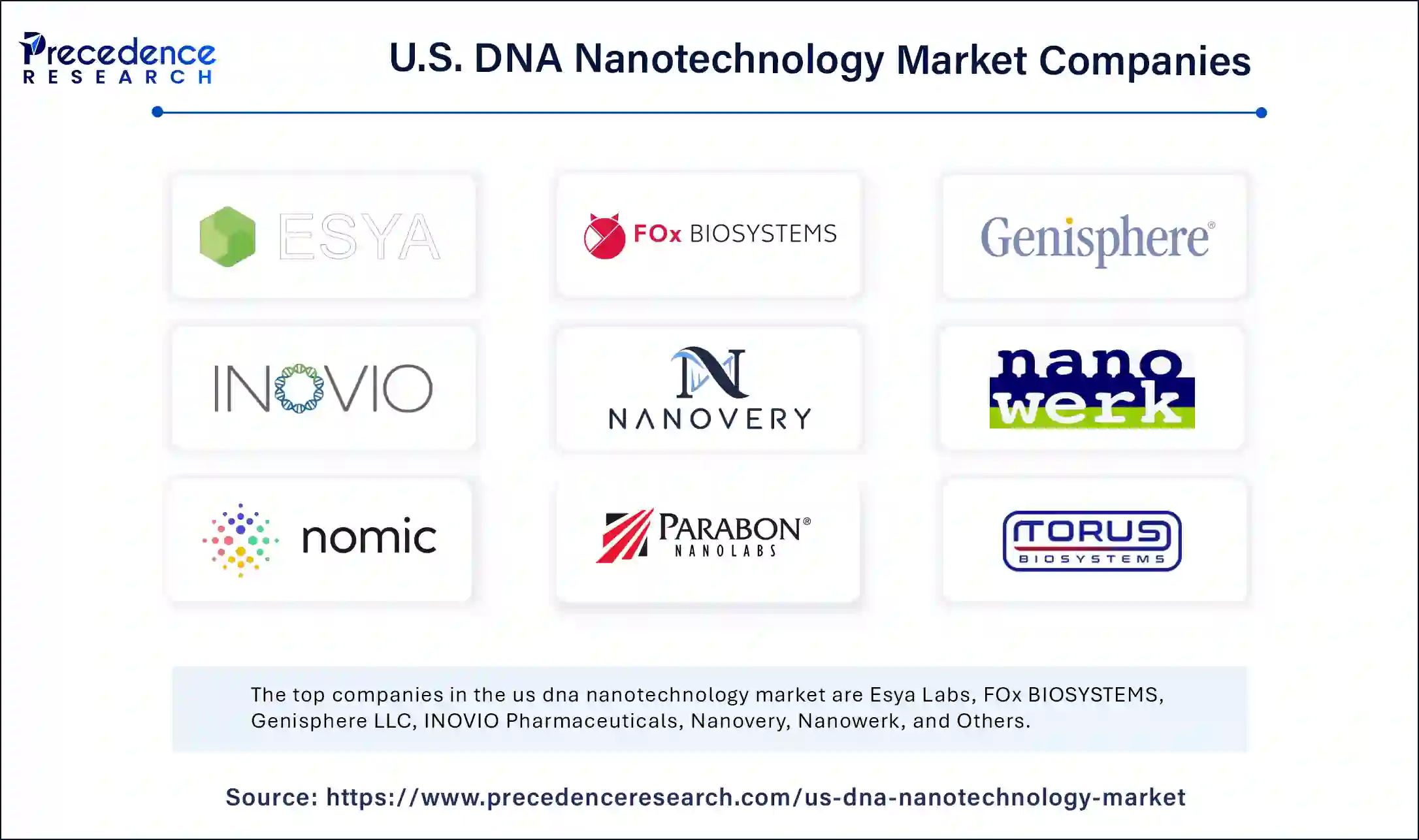 U.S. DNA Nanotechnology Market Companies