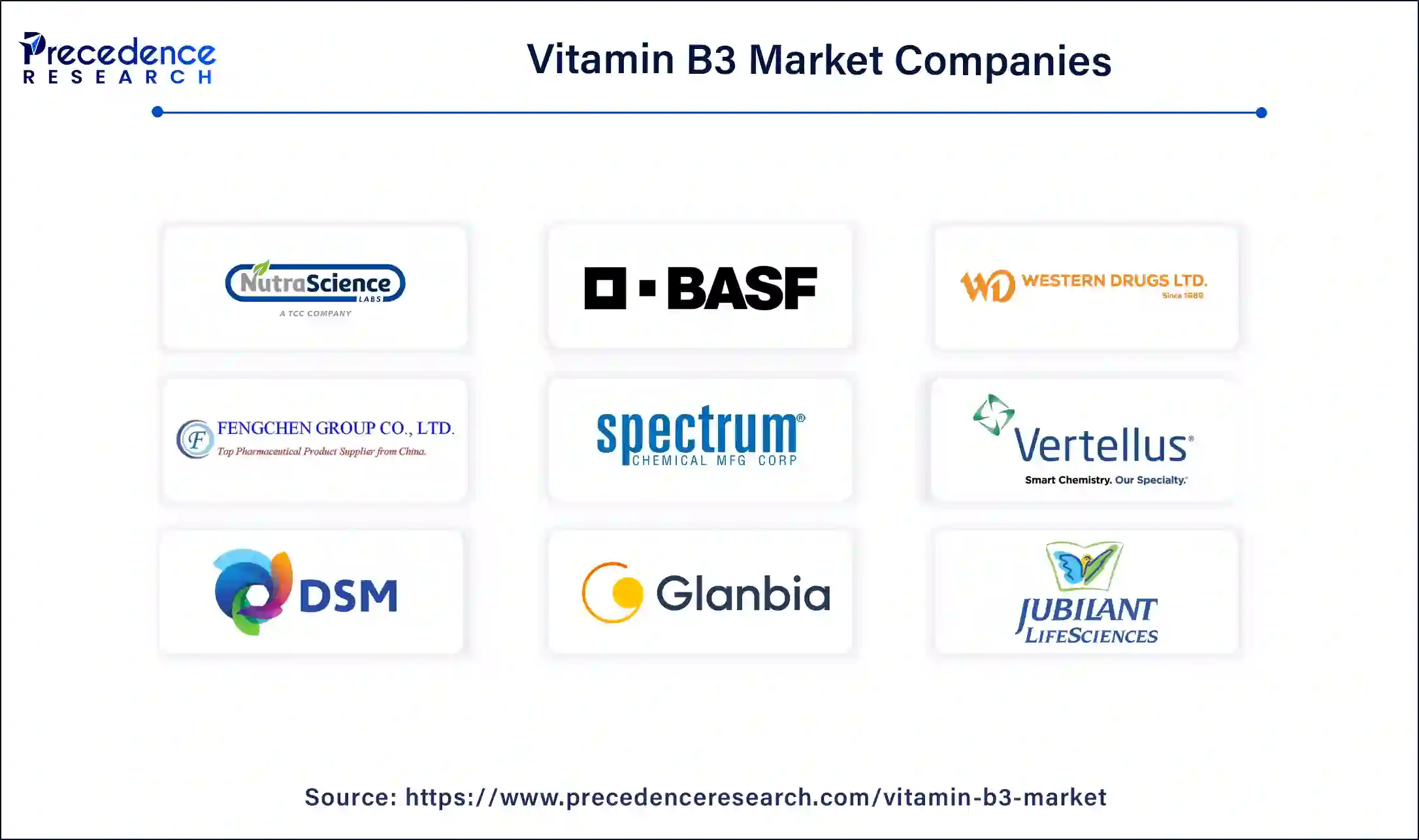 Vitamin B3 Market Companies